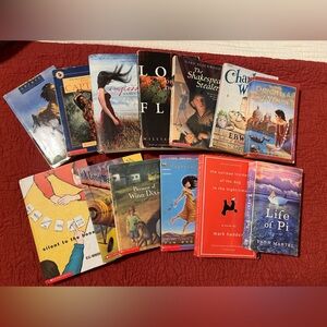 Set of YA/middle school books